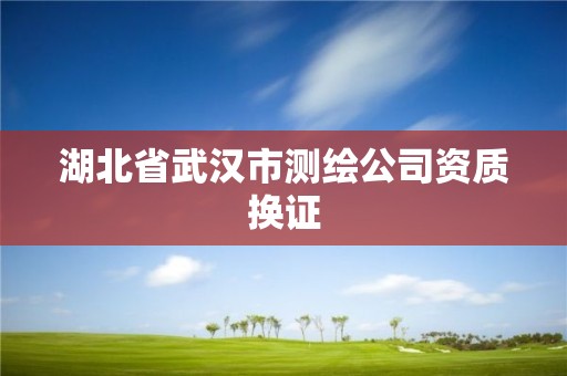 湖北省武漢市測繪公司資質換證