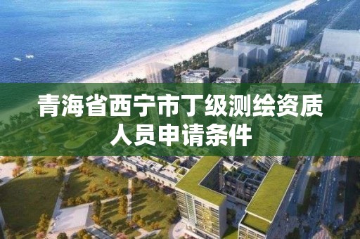 青海省西寧市丁級測繪資質人員申請條件