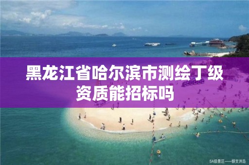 黑龍江省哈爾濱市測繪丁級資質能招標嗎