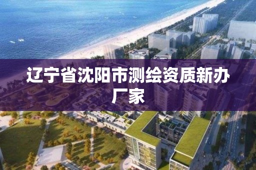 遼寧省沈陽市測繪資質新辦廠家