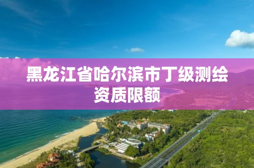 黑龍江省哈爾濱市丁級測繪資質(zhì)限額