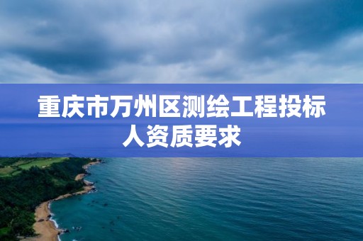 重慶市萬州區(qū)測繪工程投標(biāo)人資質(zhì)要求