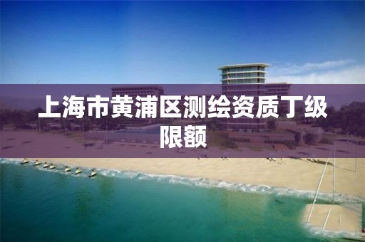 上海市黃浦區測繪資質丁級限額