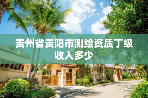 貴州省貴陽市測繪資質丁級收入多少