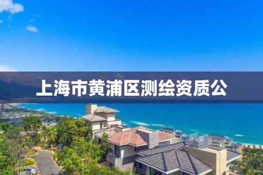 上海市黃浦區測繪資質公