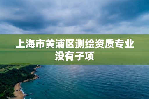 上海市黃浦區測繪資質專業沒有子項