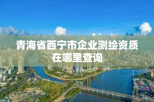 青海省西寧市企業(yè)測繪資質(zhì)在哪里查詢