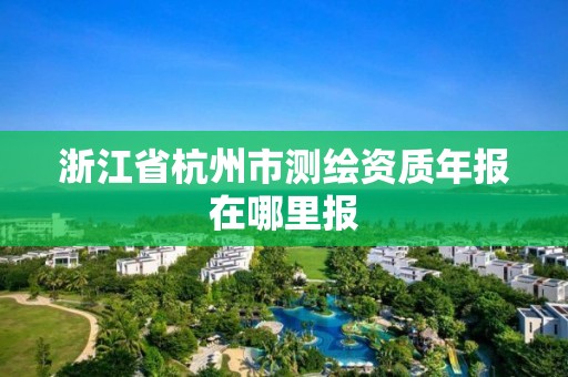 浙江省杭州市測繪資質年報在哪里報