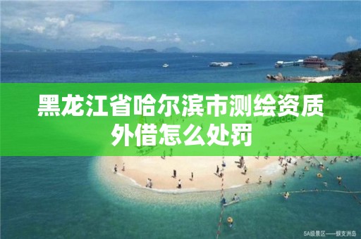 黑龍江省哈爾濱市測繪資質外借怎么處罰