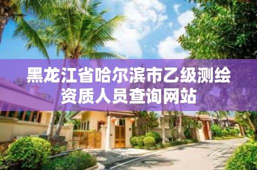 黑龍江省哈爾濱市乙級(jí)測繪資質(zhì)人員查詢網(wǎng)站