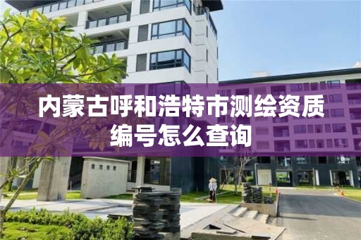 內蒙古呼和浩特市測繪資質編號怎么查詢