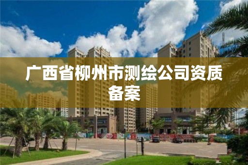 廣西省柳州市測繪公司資質備案