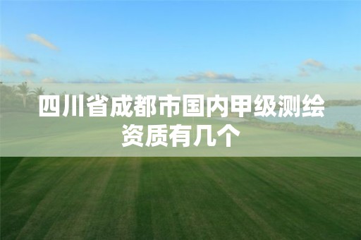 四川省成都市國內甲級測繪資質有幾個