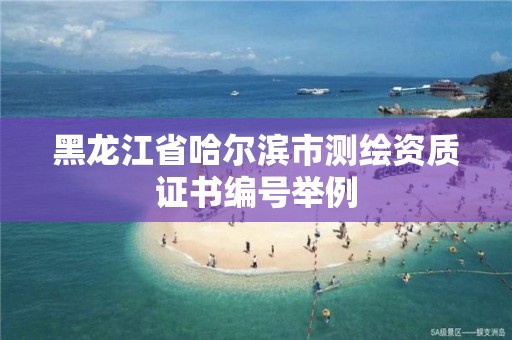 黑龍江省哈爾濱市測(cè)繪資質(zhì)證書編號(hào)舉例