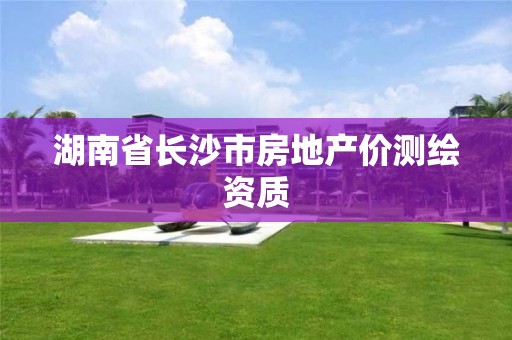 湖南省長沙市房地產價測繪資質