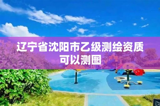 遼寧省沈陽市乙級測繪資質(zhì)可以測圖