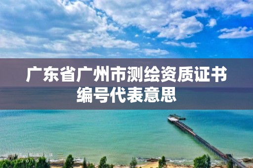 廣東省廣州市測(cè)繪資質(zhì)證書編號(hào)代表意思