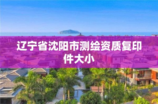 遼寧省沈陽市測繪資質復印件大小