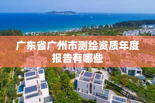 廣東省廣州市測繪資質年度報告有哪些