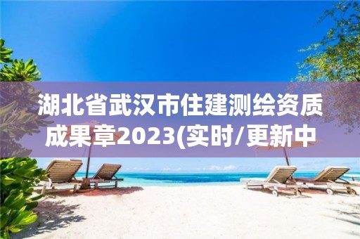 湖北省武漢市住建測繪資質成果章2023(實時/更新中)