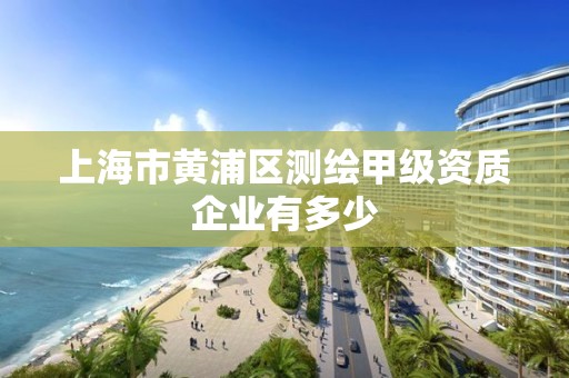 上海市黃浦區測繪甲級資質企業有多少