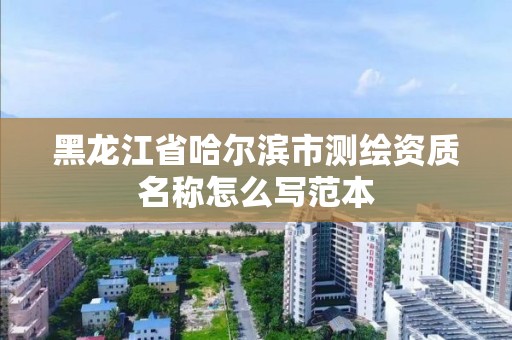 黑龍江省哈爾濱市測繪資質名稱怎么寫范本