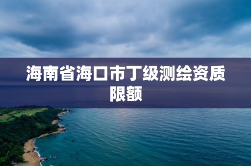 海南省海口市丁級測繪資質限額