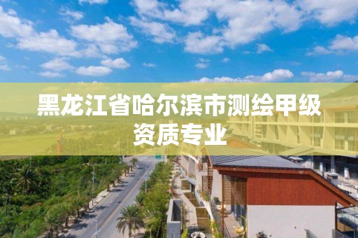 黑龍江省哈爾濱市測繪甲級資質專業