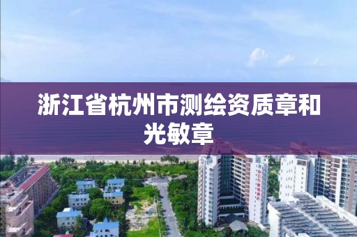 浙江省杭州市測繪資質章和光敏章