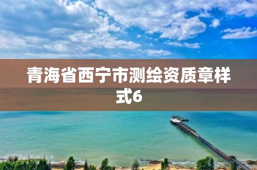 青海省西寧市測繪資質章樣式6