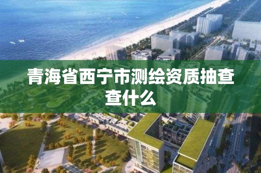 青海省西寧市測繪資質抽查查什么