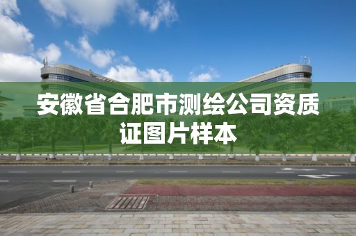 安徽省合肥市測繪公司資質(zhì)證圖片樣本