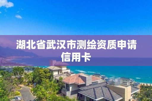 湖北省武漢市測繪資質申請信用卡