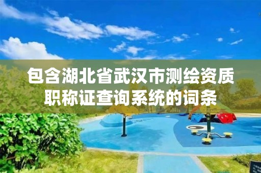 包含湖北省武漢市測繪資質職稱證查詢系統的詞條