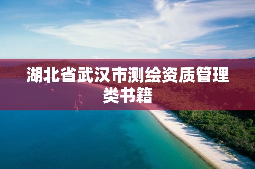 湖北省武漢市測繪資質管理類書籍