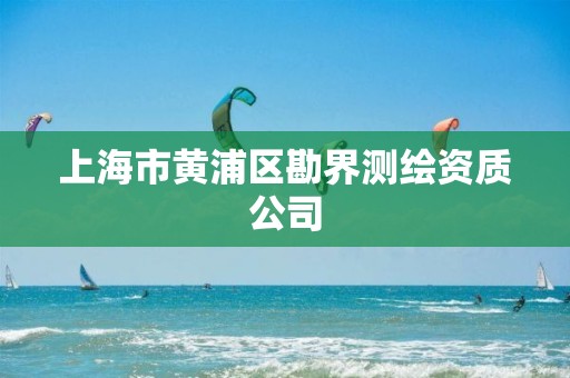 上海市黃浦區勘界測繪資質公司