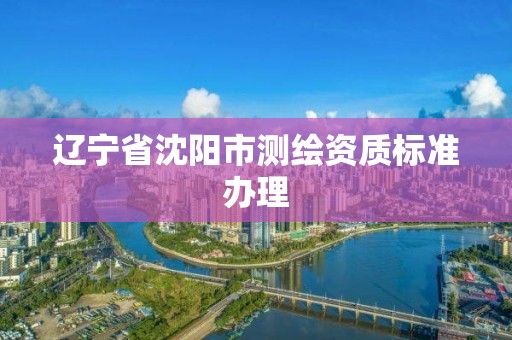 遼寧省沈陽市測繪資質標準辦理