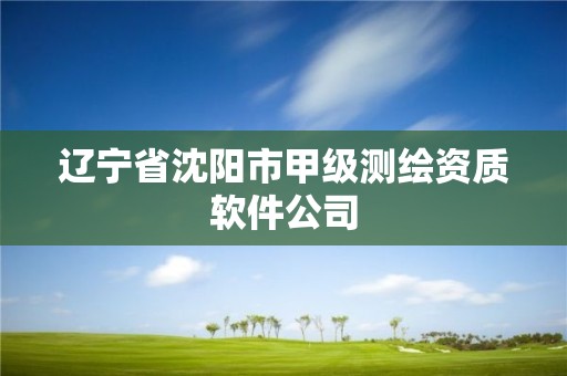 遼寧省沈陽市甲級測繪資質軟件公司