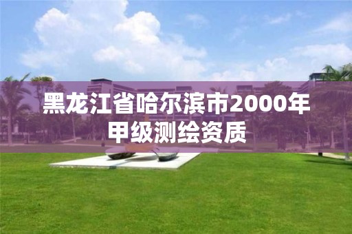 黑龍江省哈爾濱市2000年甲級(jí)測(cè)繪資質(zhì)