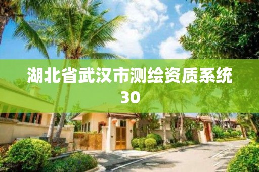 湖北省武漢市測繪資質系統30