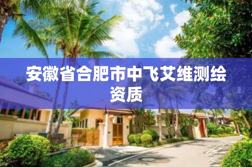 安徽省合肥市中飛艾維測繪資質