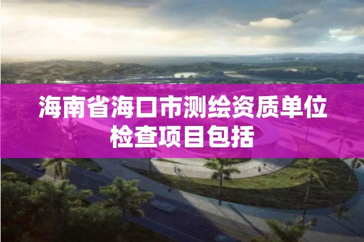 海南省?？谑袦y繪資質單位檢查項目包括