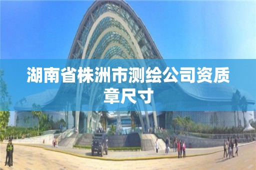 湖南省株洲市測繪公司資質章尺寸