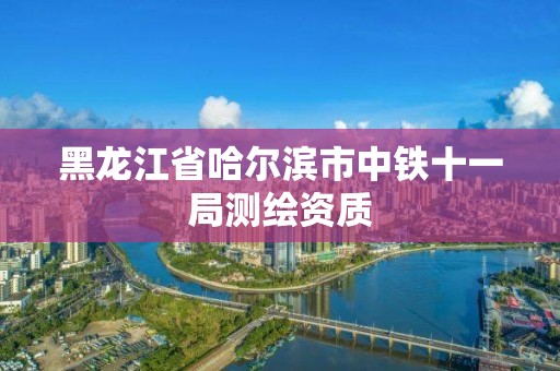 黑龍江省哈爾濱市中鐵十一局測繪資質