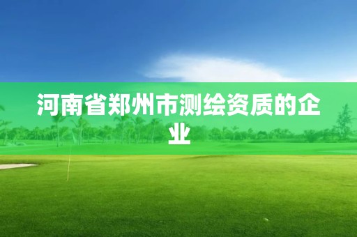 河南省鄭州市測繪資質(zhì)的企業(yè)