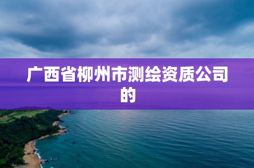 廣西省柳州市測繪資質公司的