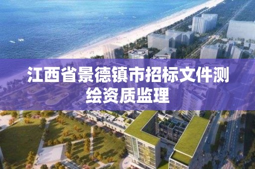 江西省景德鎮市招標文件測繪資質監理