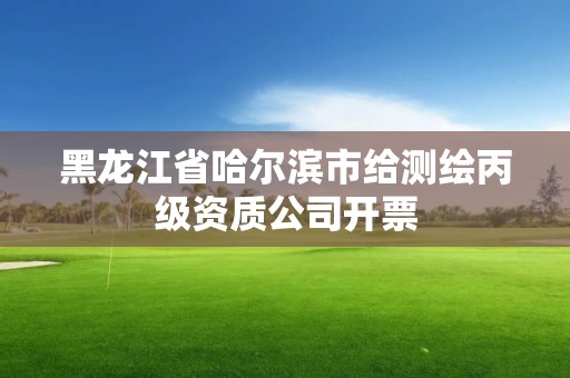 黑龍江省哈爾濱市給測繪丙級資質公司開票