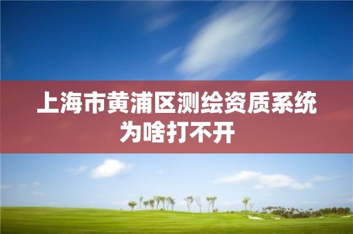 上海市黃浦區(qū)測繪資質(zhì)系統(tǒng)為啥打不開