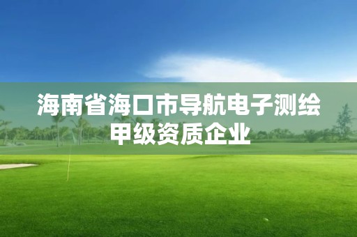 海南省海口市導(dǎo)航電子測(cè)繪甲級(jí)資質(zhì)企業(yè)